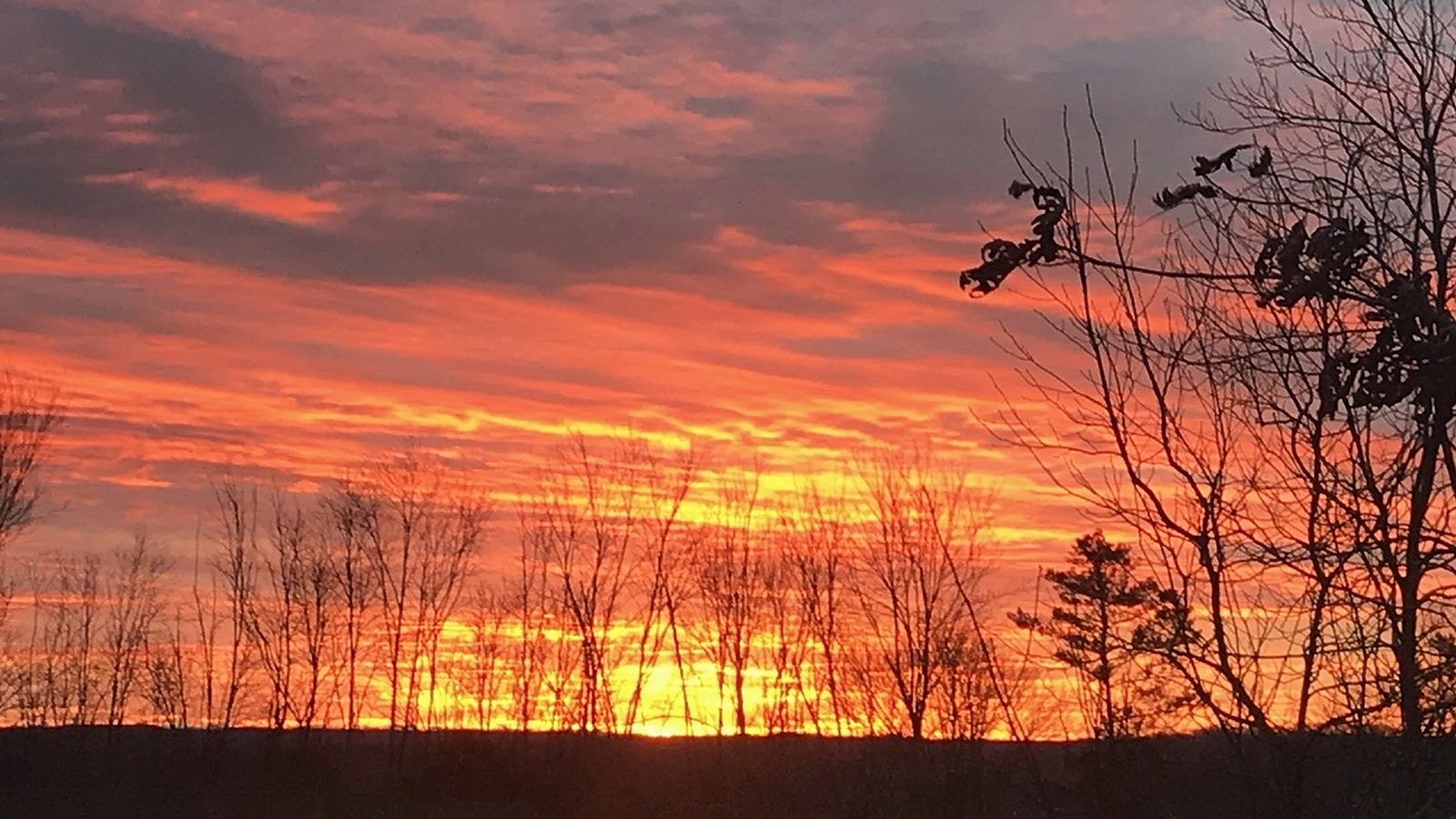 Sunset through the trees at Rockcrest Pointe